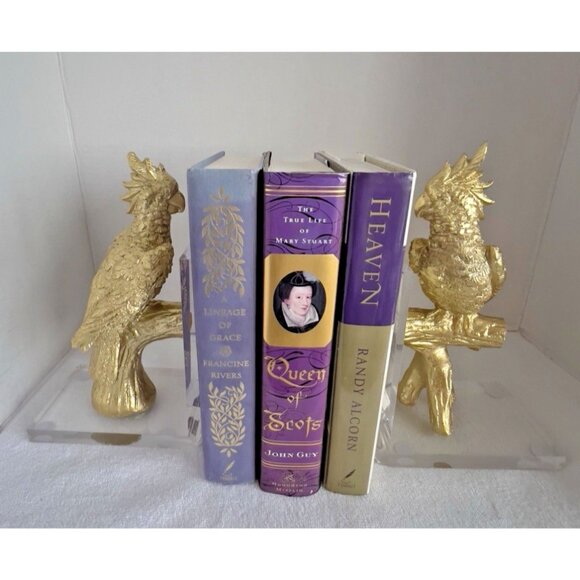Cockatoo Cockatiel Parrot Bookends Gold Bird on Lucite 9"H x 6"W x 3"D ART DECO - Picture 3 of 11